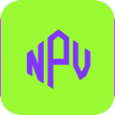 npv付费机场